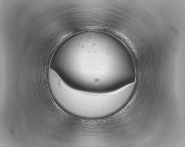 X0000116021185200912041744