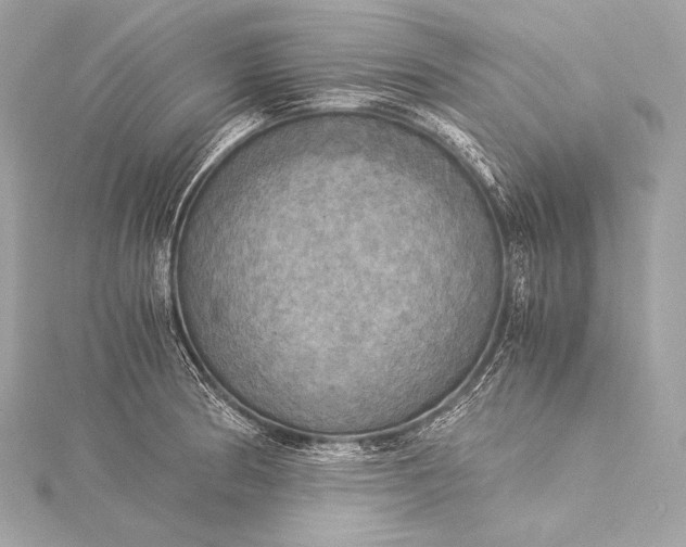 X0000116021186200912041744