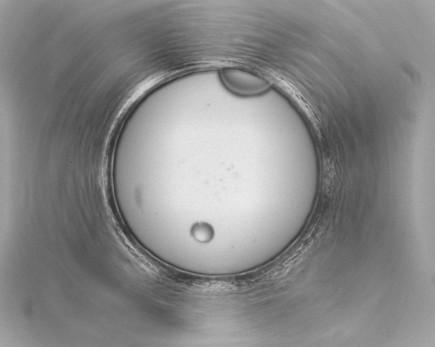 X0000116021187200912041744