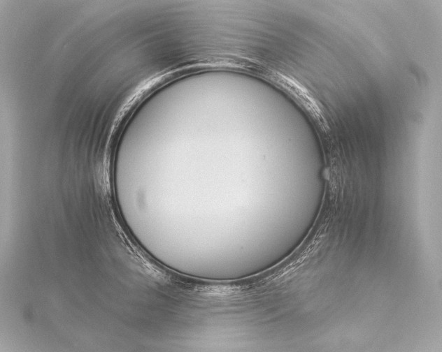 X0000116021188200912041744