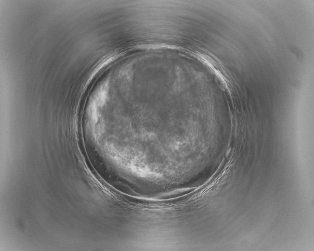 X0000116021189200912041744