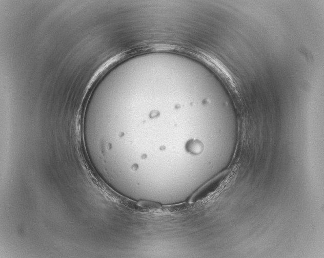 X0000116021190200912041744