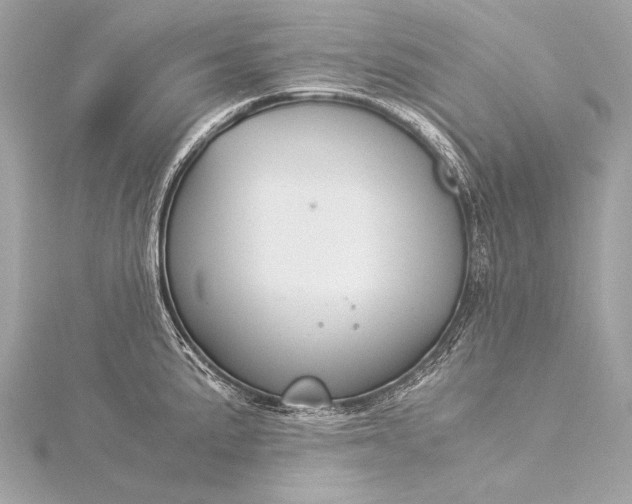 X0000116021191200912041744