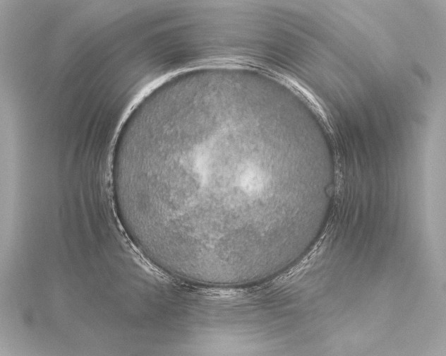 X0000116021192200912041744