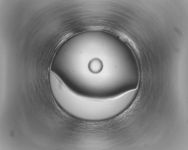 X0000116021193200912041743