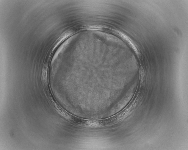 X0000116021194200912041743