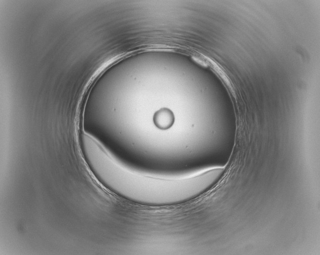 X0000116021195200912041743