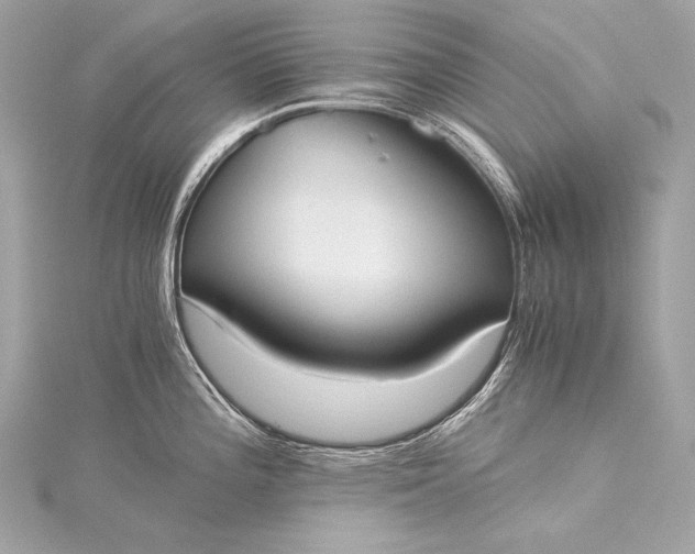 X0000116021196200912041743