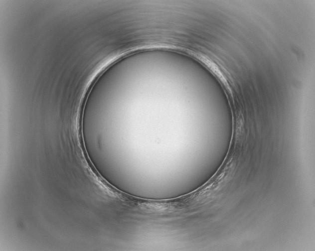 X0000116021197200912041743