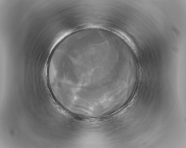 X0000116021198200912041743