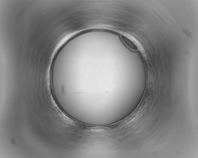 X0000116021199200912041743