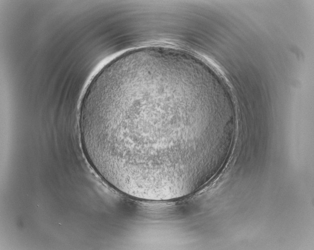 X0000116021200200912041743