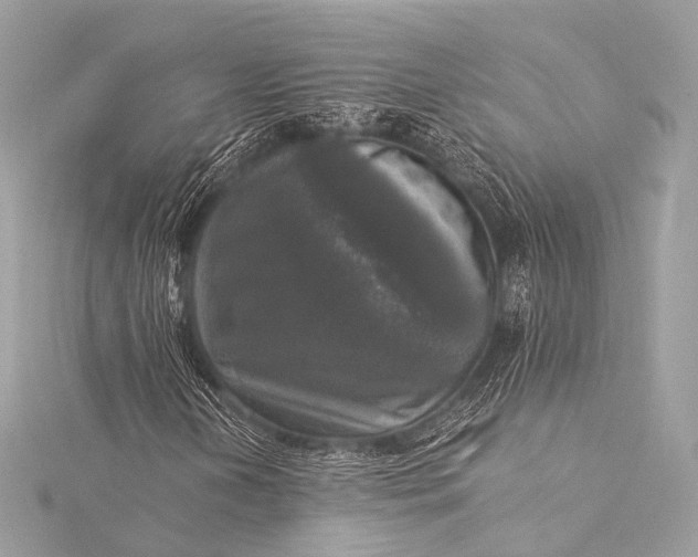 X0000116021202200912041743