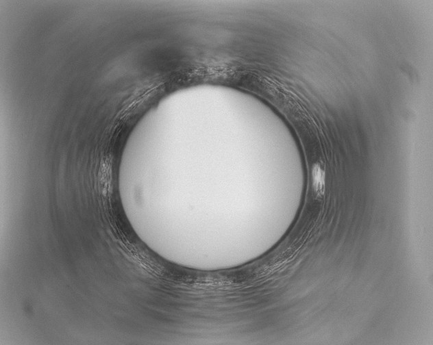 X0000116021203200912041743