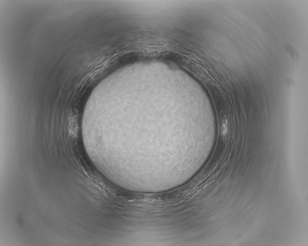 X0000116021204200912041743