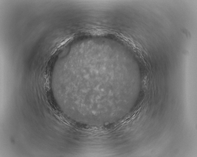 X0000116021205200912041743