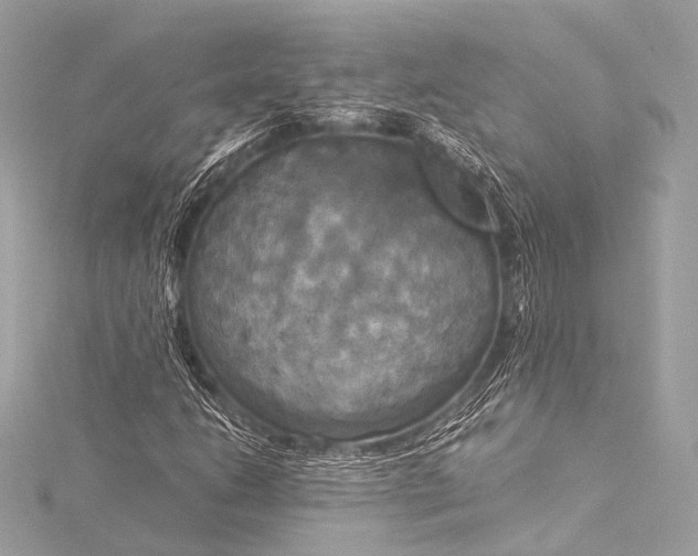 X0000116021206200912041743