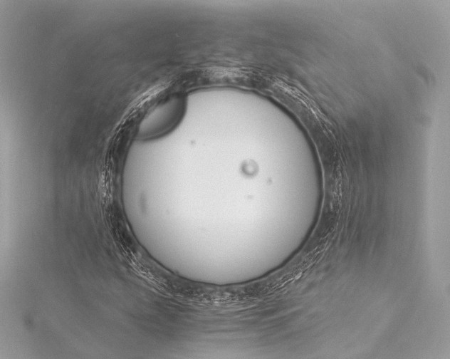 X0000116021207200912041743