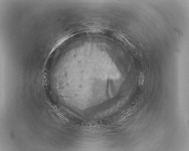 X0000116021208200912041743