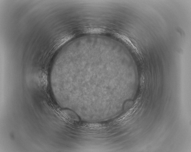 X0000116021209200912041743