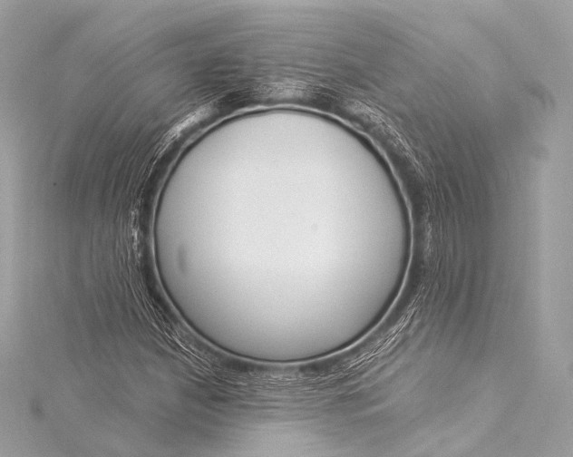 X0000116021210200912041743