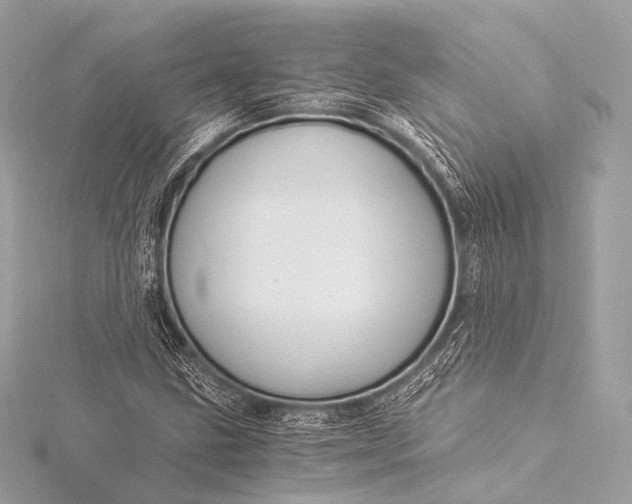 X0000116021211200912041743