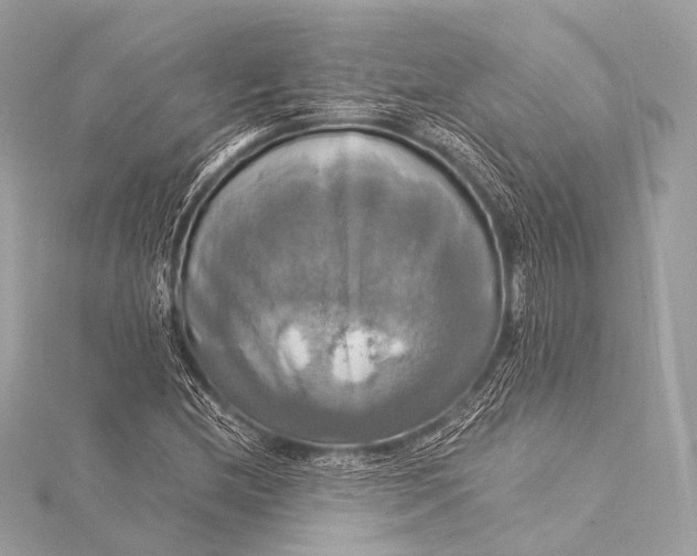 X0000116021212200912041743