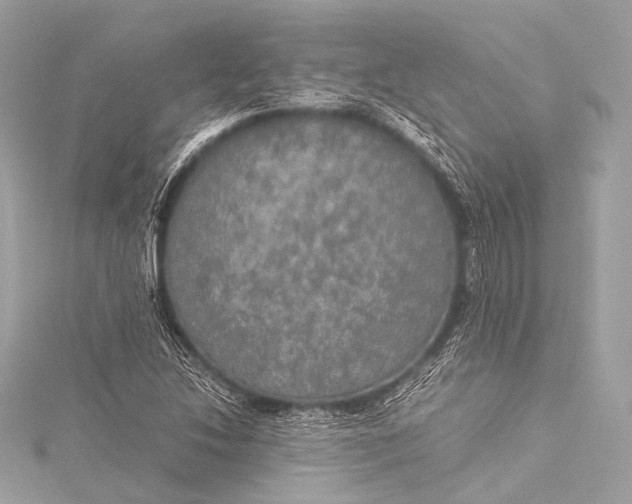 X0000116021214200912041743