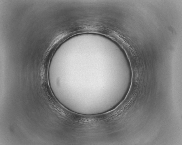 X0000116021215200912041743