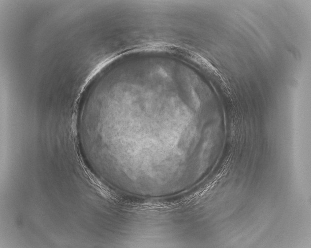 X0000116021216200912041743