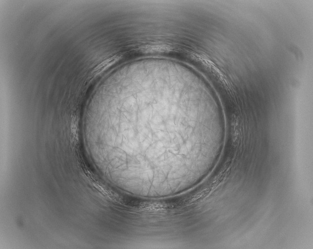 X0000116021217200912041743