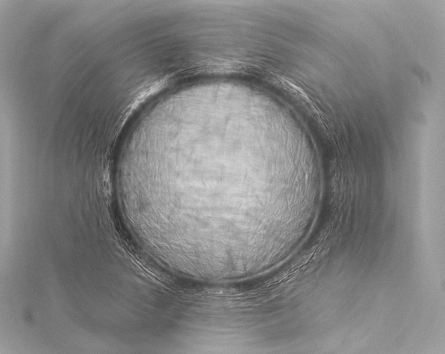 X0000116021218200912041743