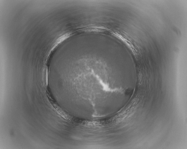 X0000116021219200912041743