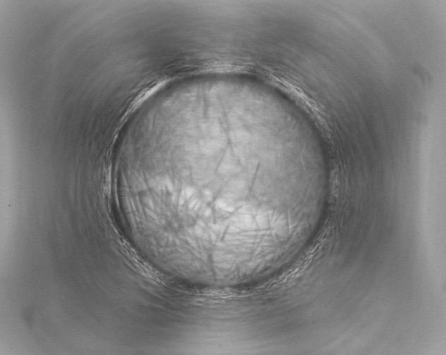 X0000116021220200912041743