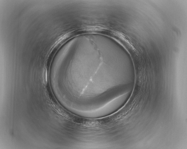 X0000116021221200912041743