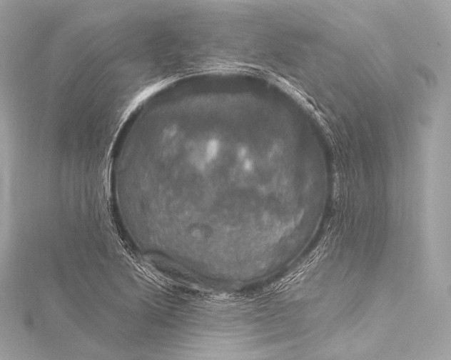 X0000116021222200912041743