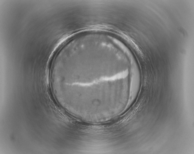 X0000116021224200912041743