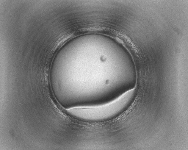 X0000116021225200912041743