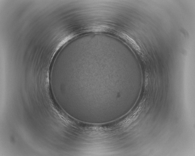 X0000116021226200912041743