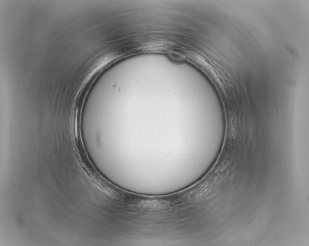 X0000116021227200912041743