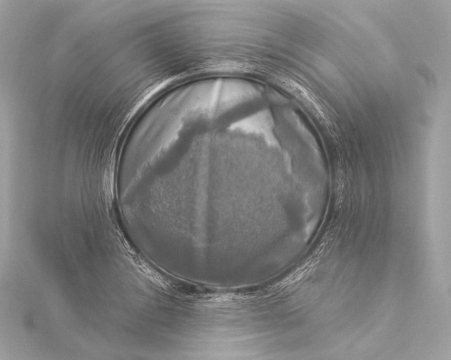 X0000116021228200912041743