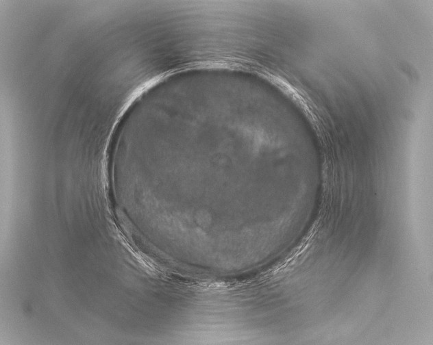 X0000116021230200912041743