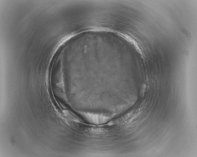 X0000116021231200912041743