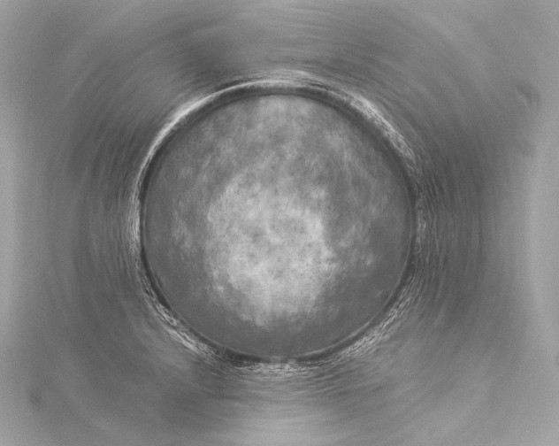 X0000116021232200912041743