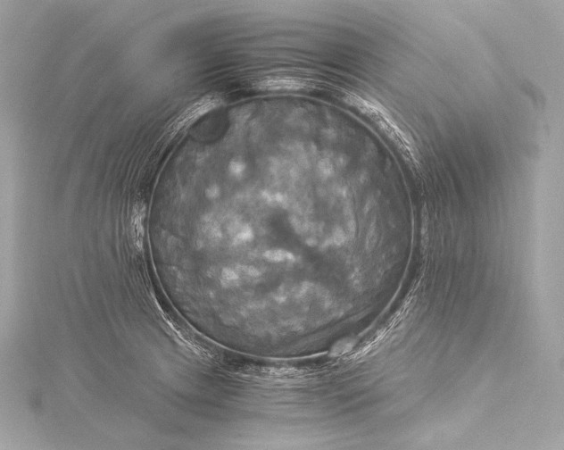 X0000116021233200912041743