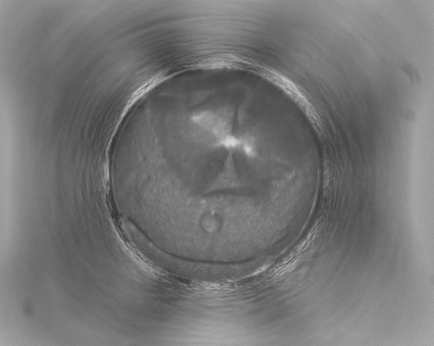 X0000116021234200912041743