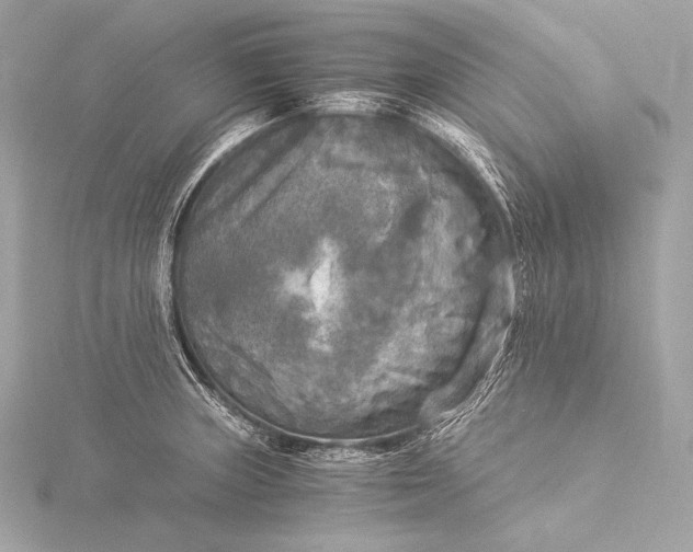 X0000116021235200912041743