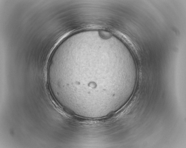 X0000116021236200912041743