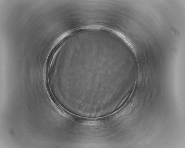 X0000116021237200912041743