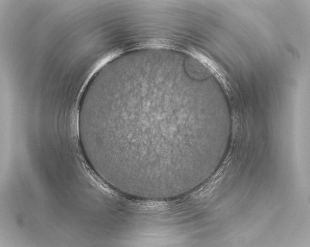 X0000116021238200912041743